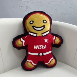 Poduszka minky "CIASTEK"