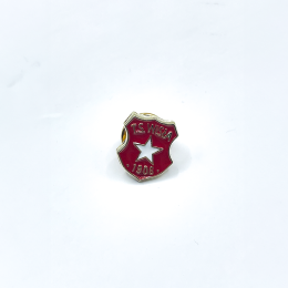 Wpinka herb historyczny TS Wisła